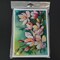 Edge Collections - 5" x 7" - Creative Greeting Cards for All Occasions - 8 Pieces